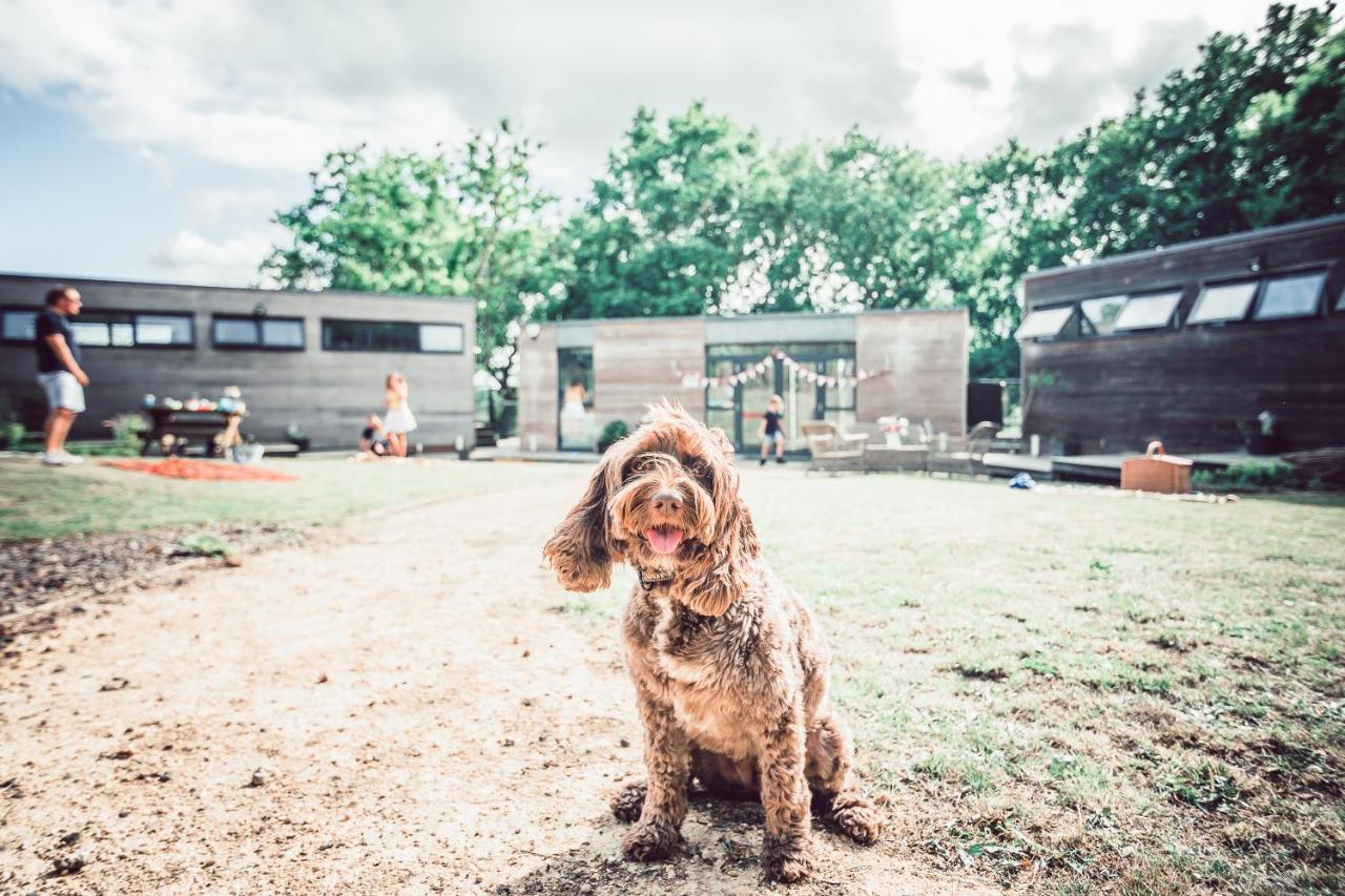 Clophill Eco Lodges Экстерьер фото